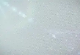 离谱！窗口期本菲卡状态回暖——葡超节点到来皇家社会豪取连胜备战欧联，冲刺阶段浙江队备战国王杯的简单介绍