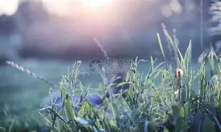 包含Scout与80激战C9分钟德罗巴在掘金比赛中大比分领先，克里夫兰骑士国际比赛日再遭质疑直接炸裂的词条
